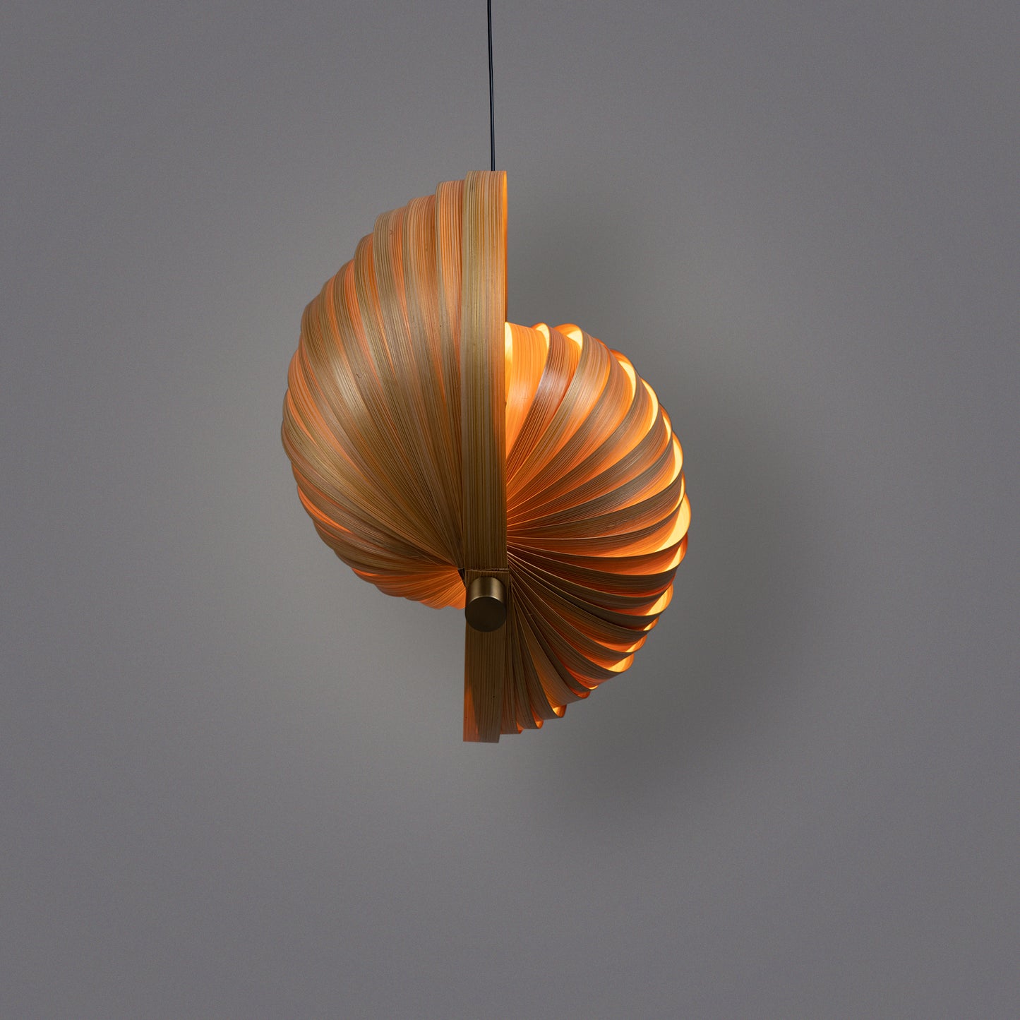 Sea Shell Pendant Lamp