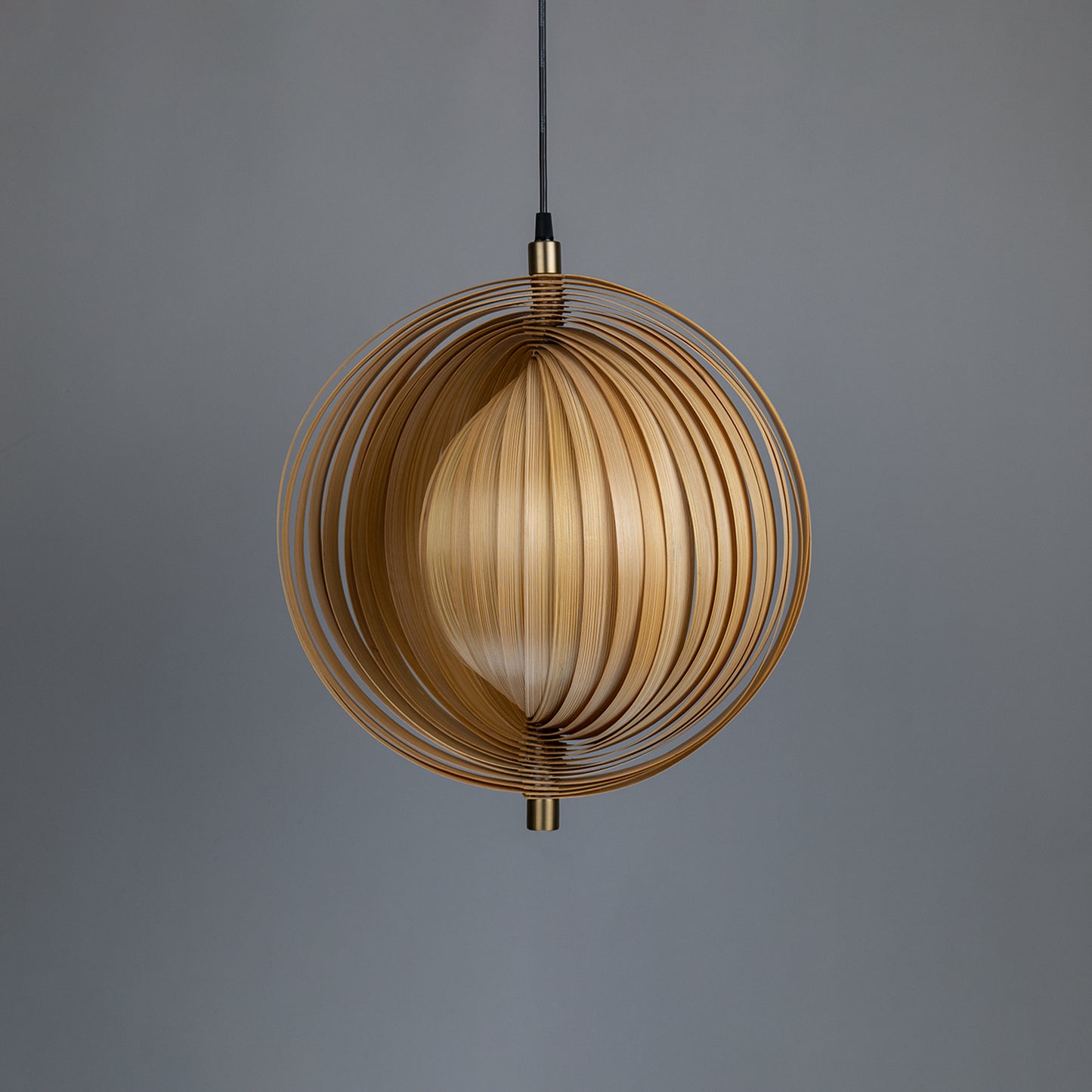 Sea Shell Pendant Lamp