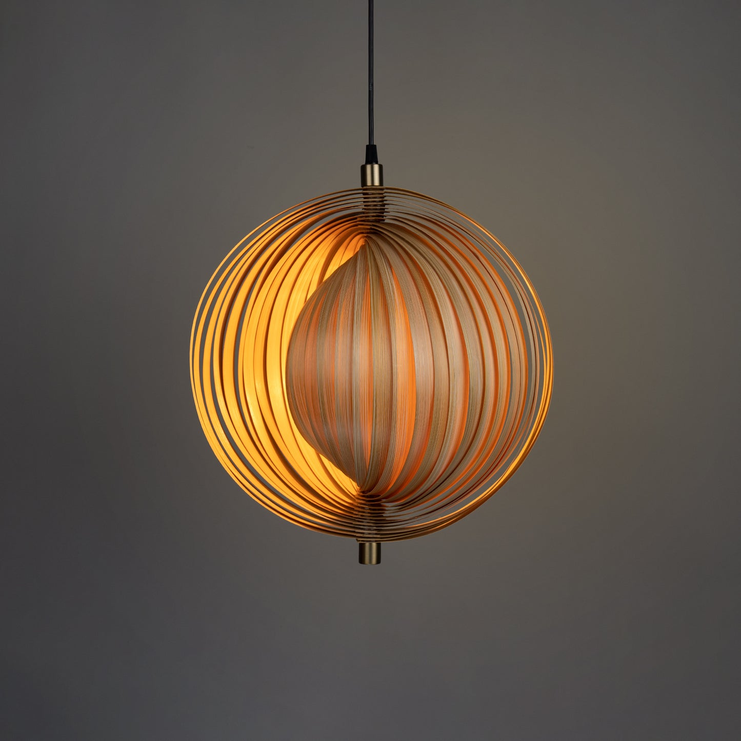 Sea Shell Pendant Lamp