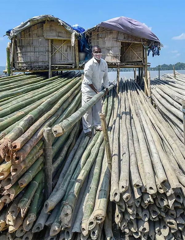 bamboo-industry-to-play-crucial-role-in-post-covid-economy-jitendra-singh_webp