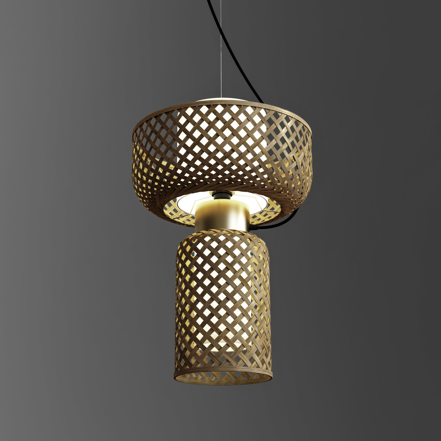 Metamorphosis Pendant Lamp-H-005AC