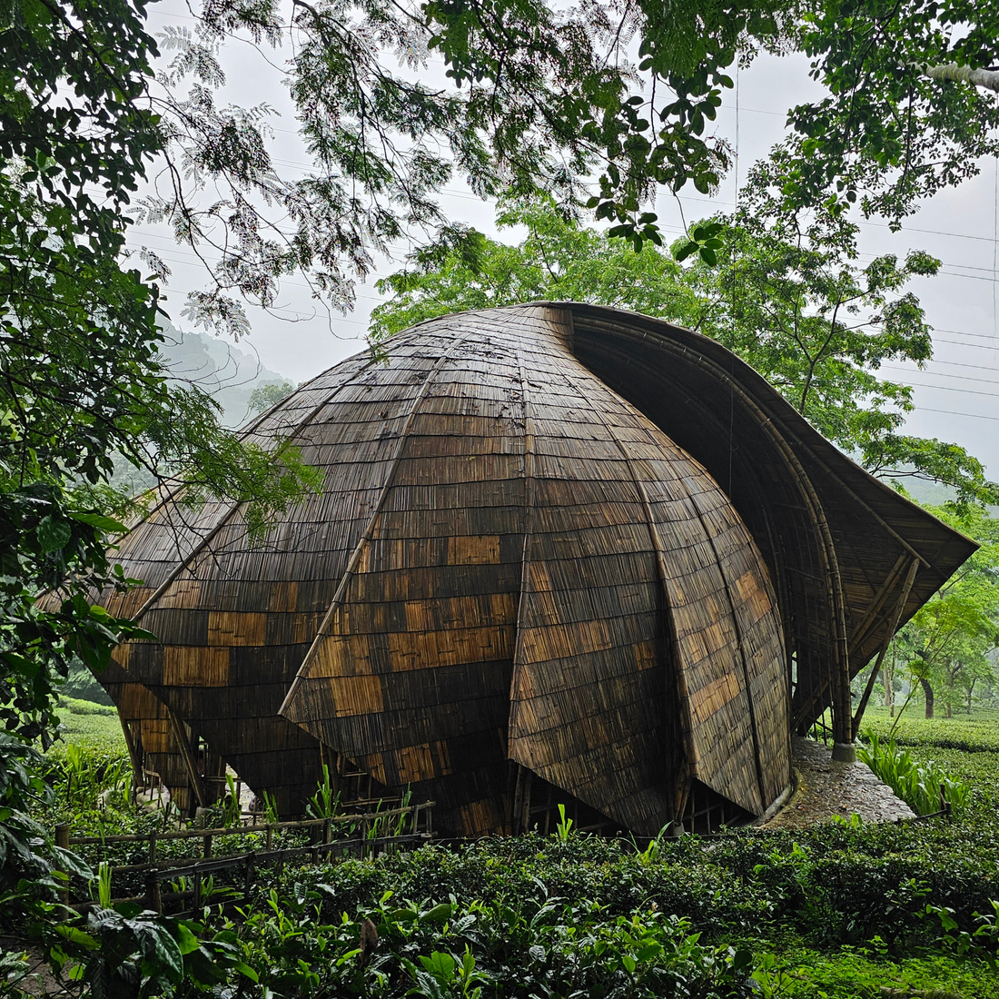 Top Trends in Green Architecture for 2025: Designing for a Sustainable Future-Mianzi-boho-décor