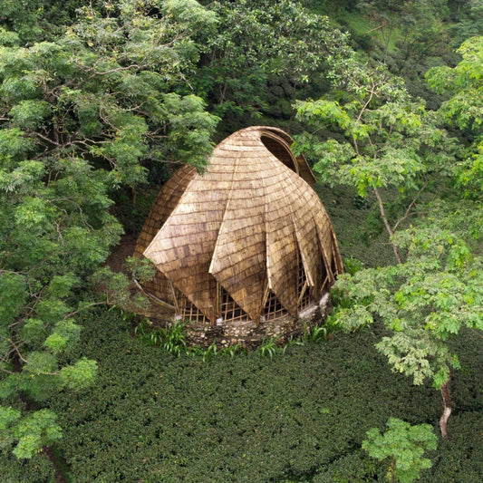 Bamboo and Biophilic Design-Mianzi-boho-décor