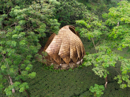 Celebrating Bamboo as a Revolution in Design: A Deep Dive into Mianzi’s Makaibari Tea Pavilion-Mianzi-boho-décor