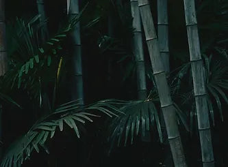 Embracing Bamboo: The Sustainable Solution to #BeatPlasticPollution-Mianzi-boho-décor