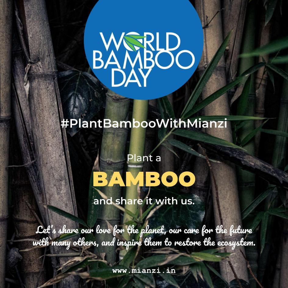 [meta_title]-World Bamboo Day: #PlantBambooWithMianzi-Mianzi-bamboo-home-décor-pendant-lamps