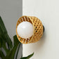 Foxglove Arctic Wall Lamp: Designer Bamboo Unique Wall Light Sconce for Home and Offices [20cm/8in Dia]-Mianzi
