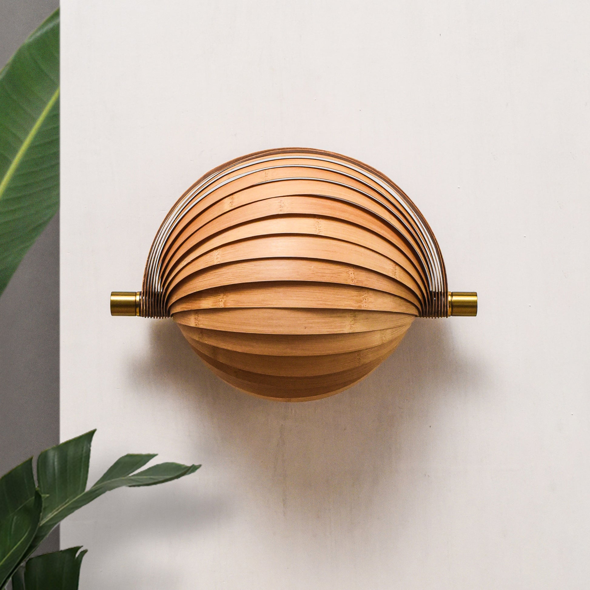 Seashell Wall Lamp: Unique Light Sconce for Home Restaurants and Offices [25cm/10in(W) X 35cm/14in(H) X 17.5cm/7in(D)]-Mianzi