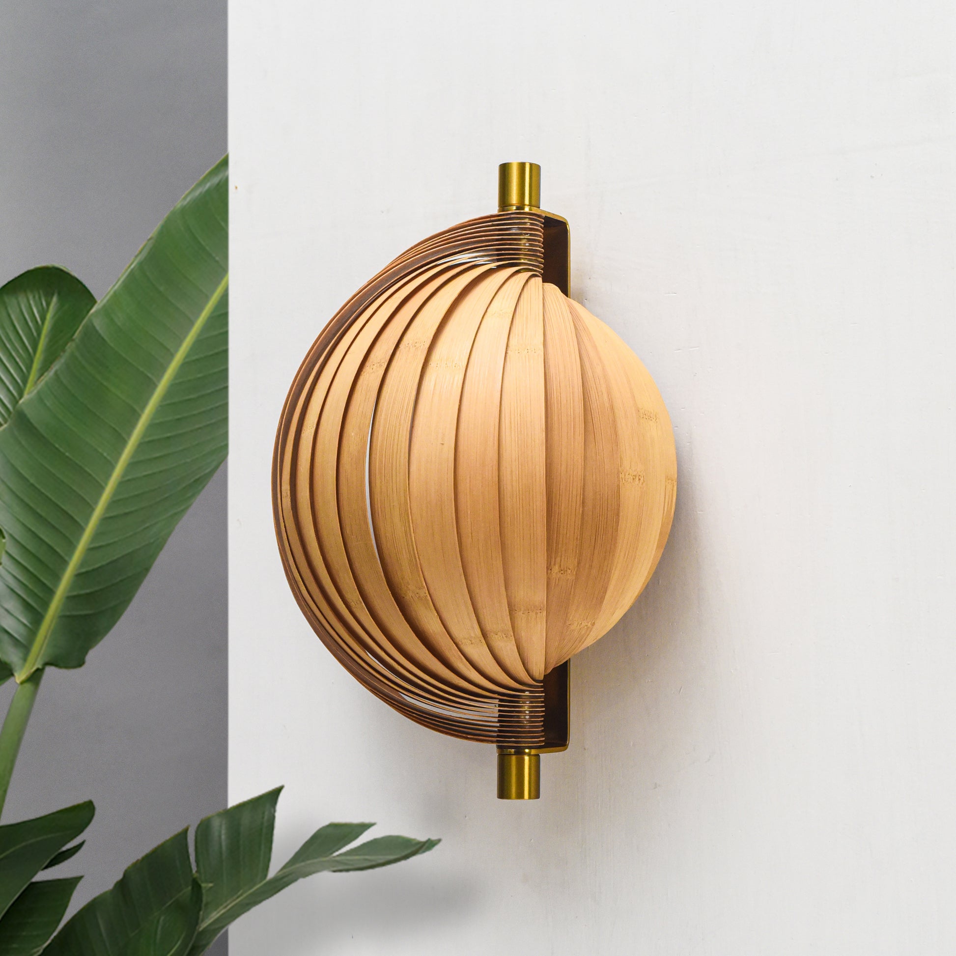 Seashell Wall Lamp: Unique Light Sconce for Home Restaurants and Offices [25cm/10in(W) X 35cm/14in(H) X 17.5cm/7in(D)]-Mianzi