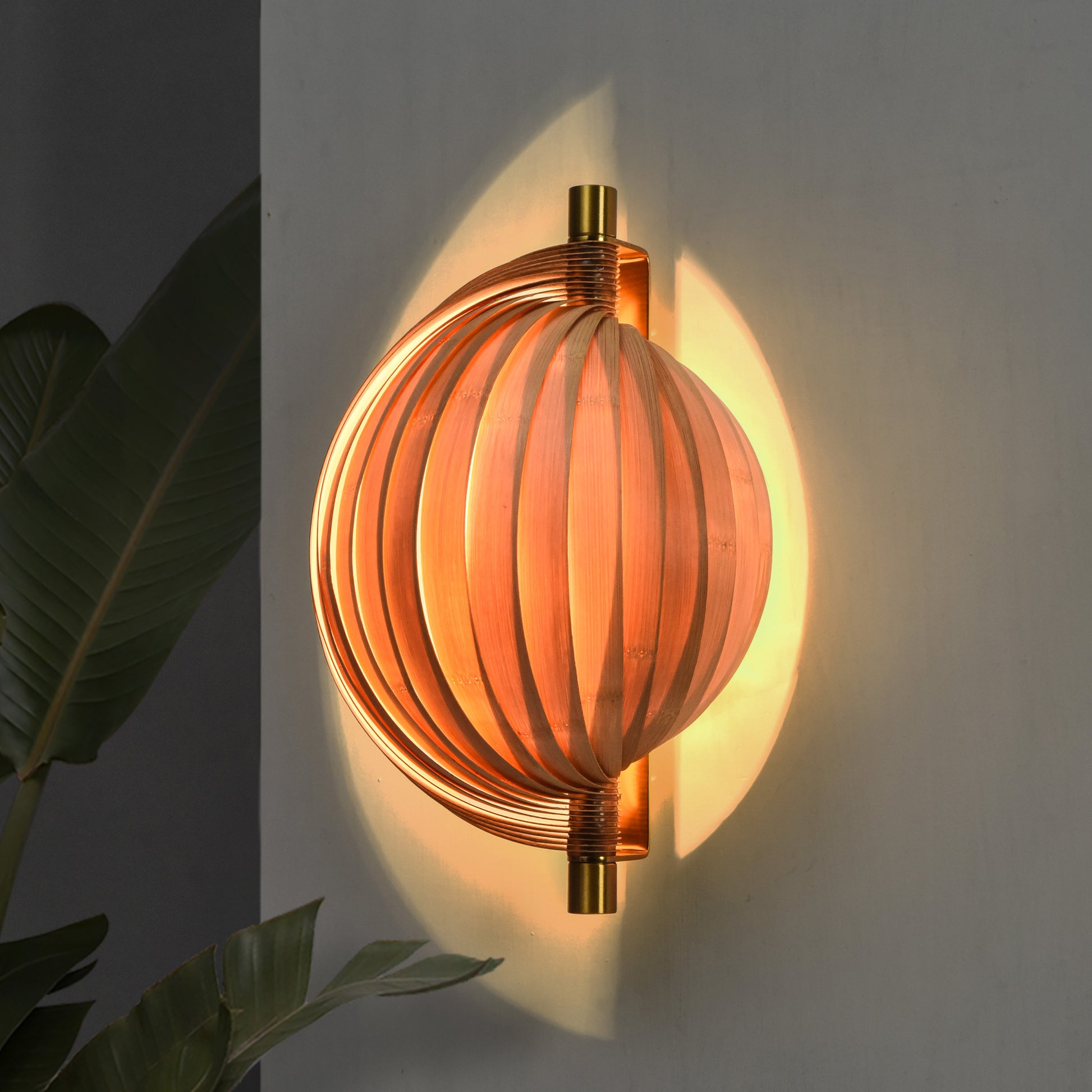 Seashell Wall Lamp: Unique Light Sconce for Home Restaurants and Offices [25cm/10in(W) X 35cm/14in(H) X 17.5cm/7in(D)]-Mianzi