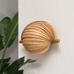 Seashell Wall Lamp: Unique Light Sconce for Home Restaurants and Offices [25cm/10in(W) X 35cm/14in(H) X 17.5cm/7in(D)]-Mianzi