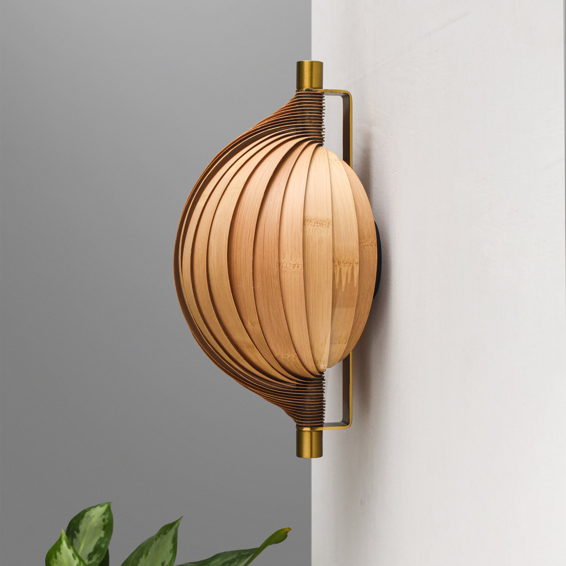 Seashell Wall Lamp: Unique Light Sconce for Home Restaurants and Offices [25cm/10in(W) X 35cm/14in(H) X 17.5cm/7in(D)]-Mianzi