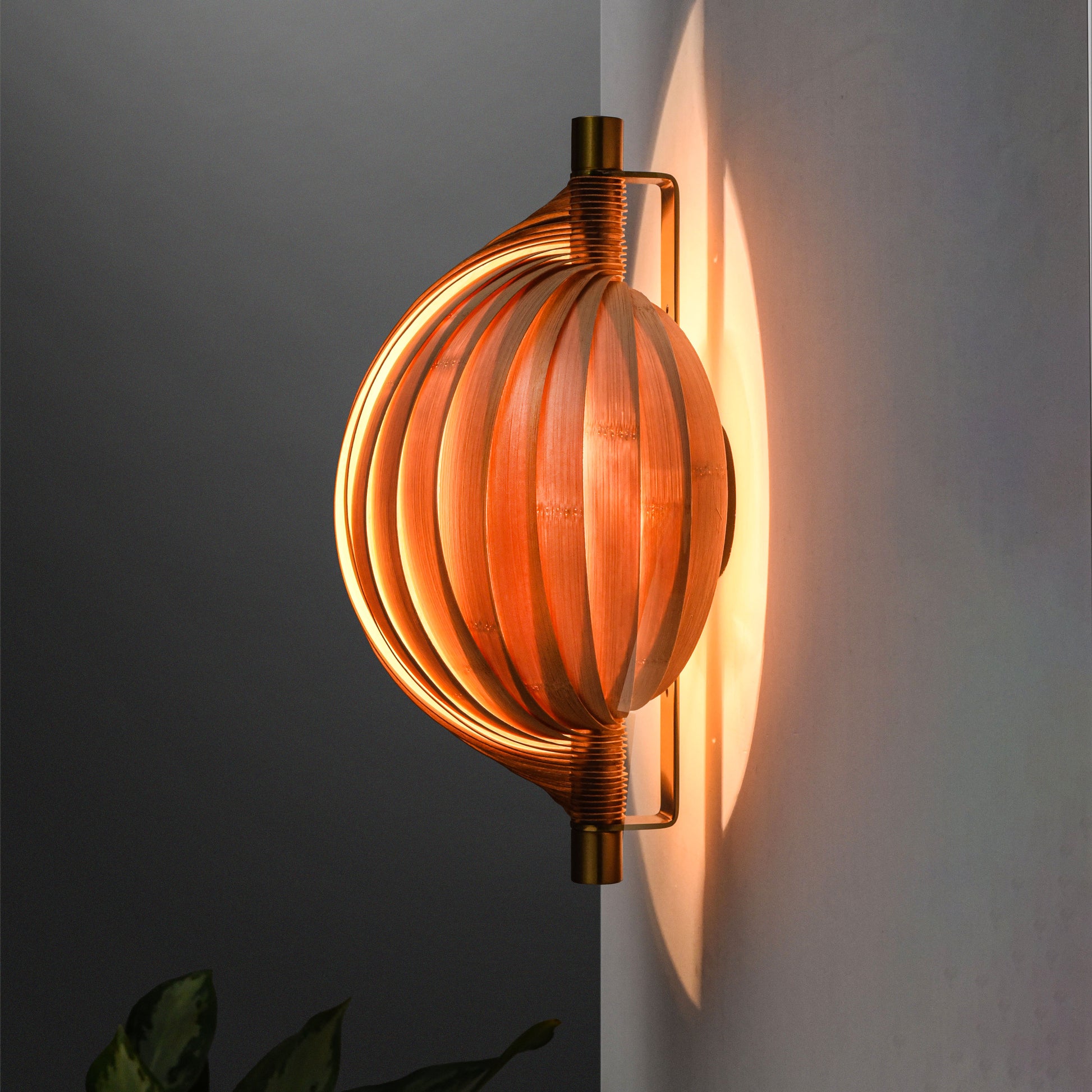 Seashell Wall Lamp: Unique Light Sconce for Home Restaurants and Offices [25cm/10in(W) X 35cm/14in(H) X 17.5cm/7in(D)]-Mianzi