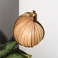 Seashell Wall Lamp: Unique Light Sconce for Home Restaurants and Offices [25cm/10in(W) X 35cm/14in(H) X 17.5cm/7in(D)]-Mianzi