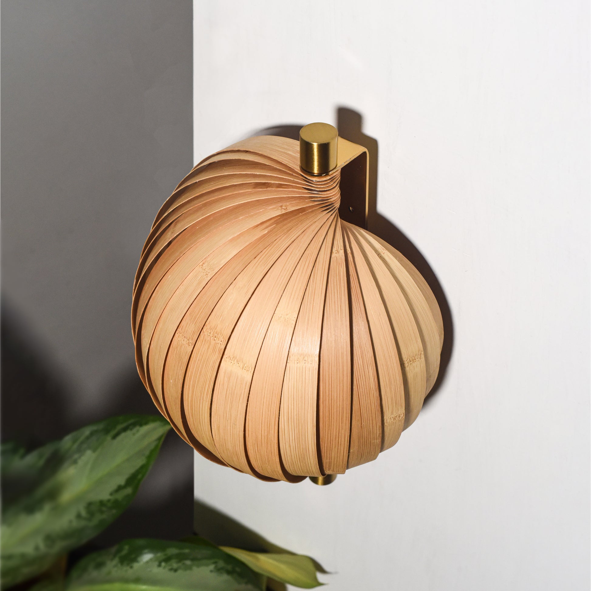 Seashell Wall Lamp: Unique Light Sconce for Home Restaurants and Offices [25cm/10in(W) X 35cm/14in(H) X 17.5cm/7in(D)]-Mianzi