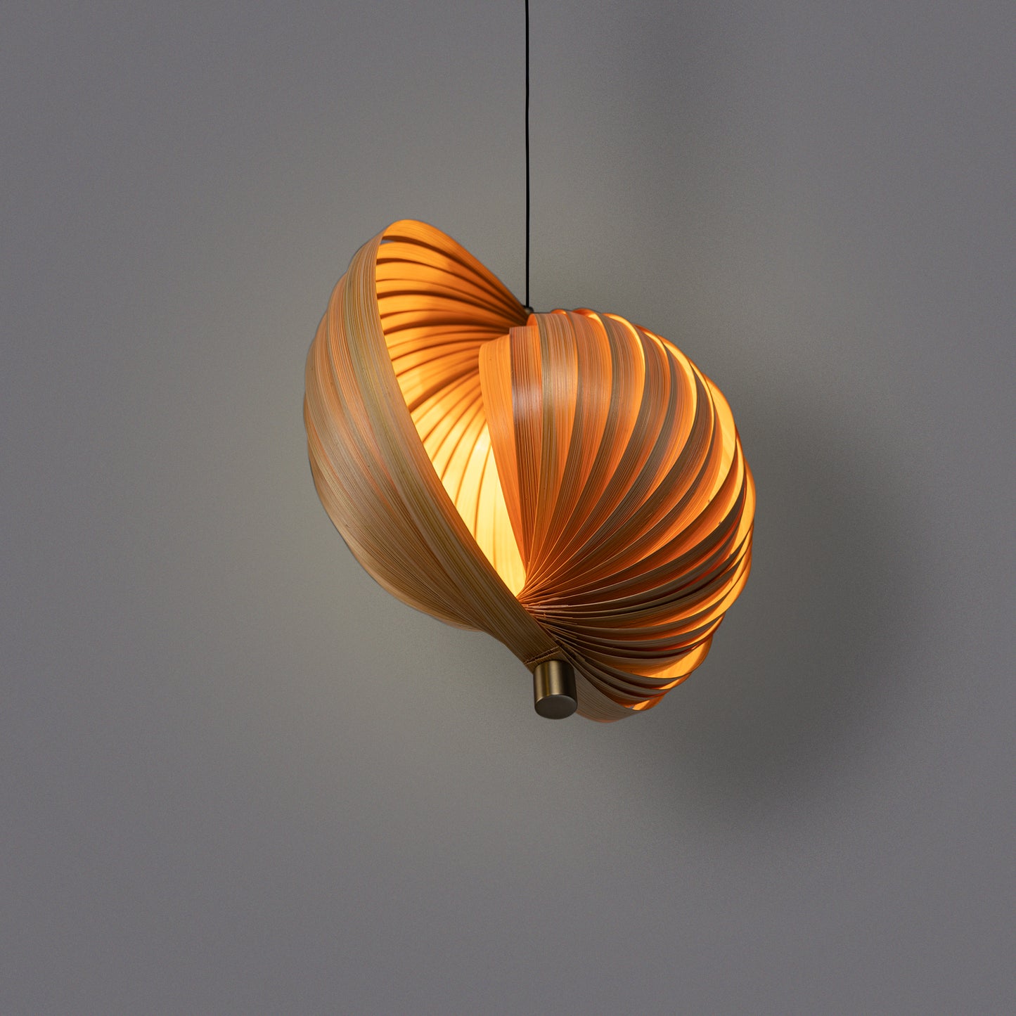 Sea Shell Pendant Lamp