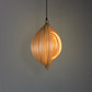 Sea Shell Pendant Lamp