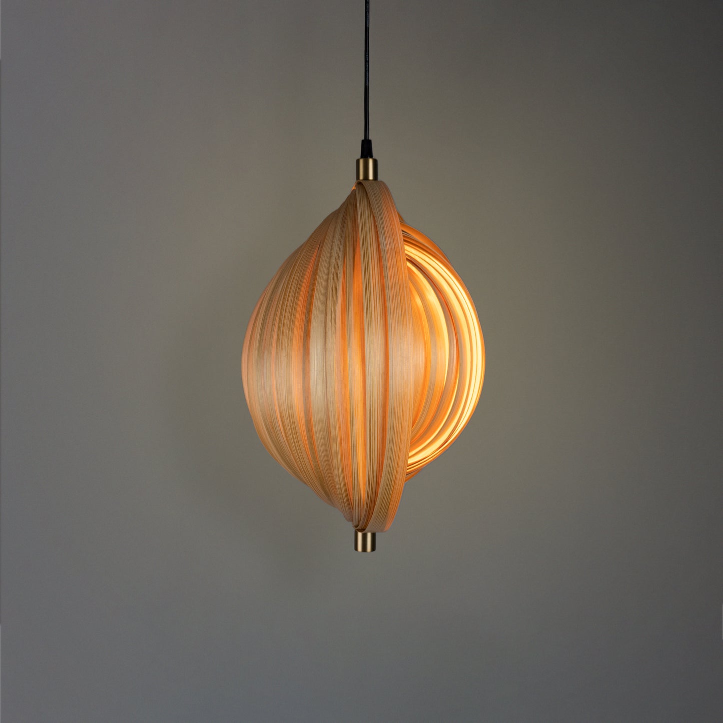 Sea Shell Pendant Lamp
