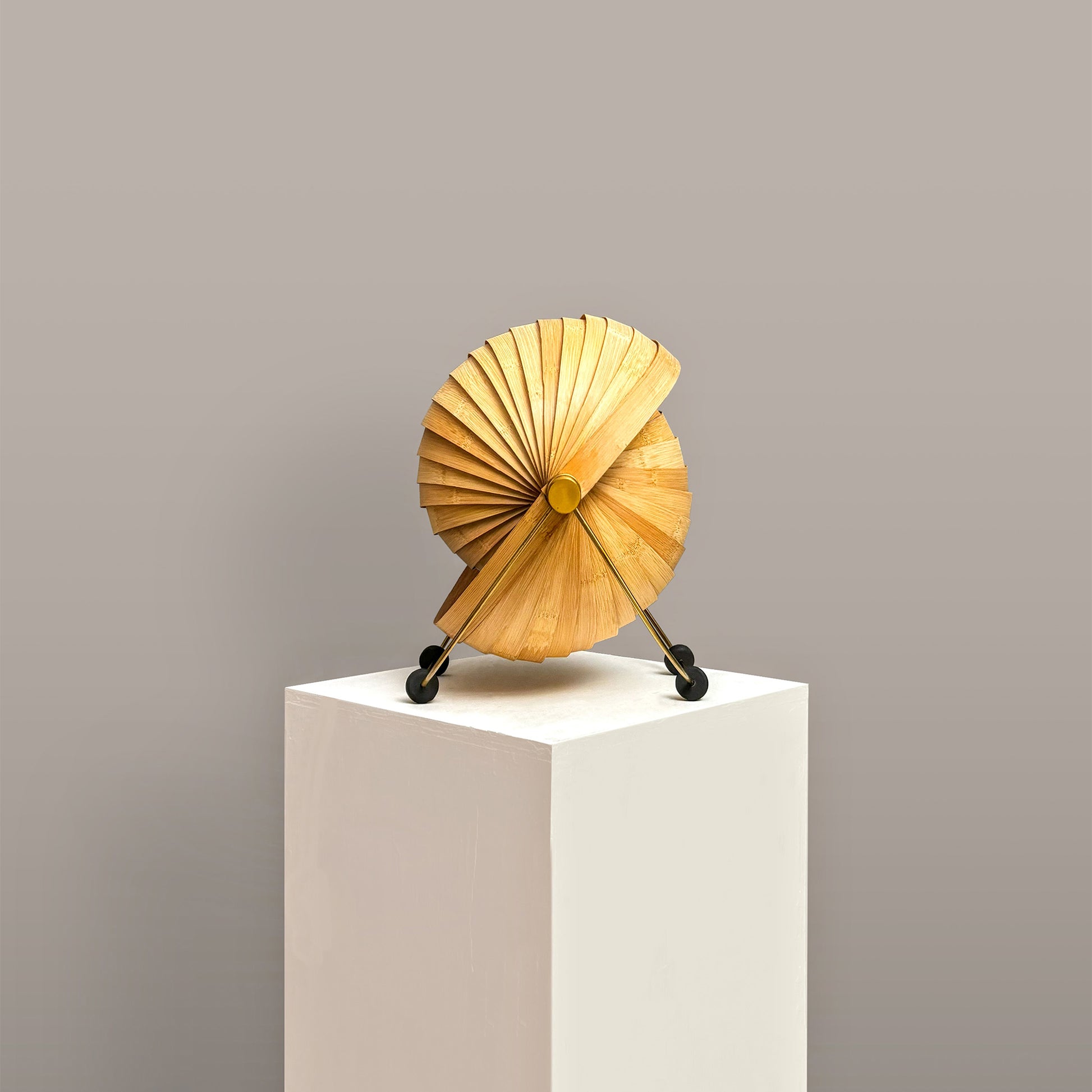 Seashell Table Lamp: Designer Table Top Lamp | Artisanal Cafe Lighting Restaurants Decor [22cm/8.5in(L) x 38.5cm/15in(W) x 32cm/14in(H)]-Mianzi