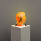Seashell Table Lamp: Designer Table Top Lamp | Artisanal Cafe Lighting Restaurants Decor [22cm/8.5in(L) x 38.5cm/15in(W) x 32cm/14in(H)]-Mianzi